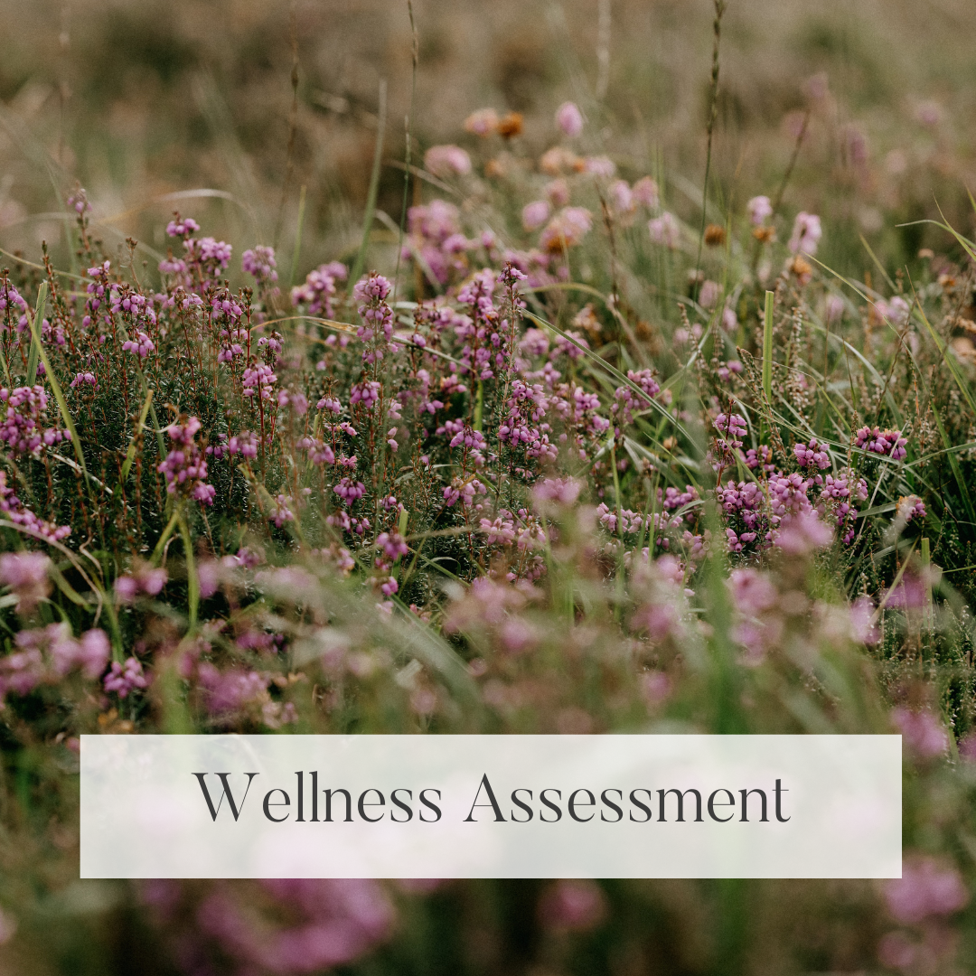 Wellness Assessment