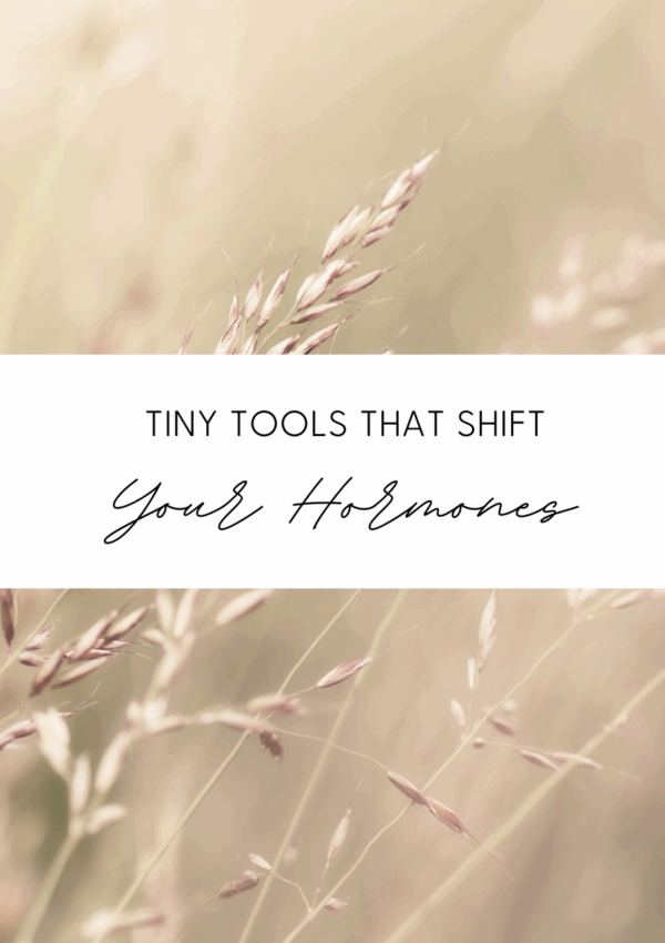 Tiny Tools That Shift Your Hormones Fast