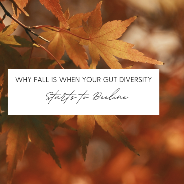 Why Fall is When Your Gut Diversity Starts to Decline