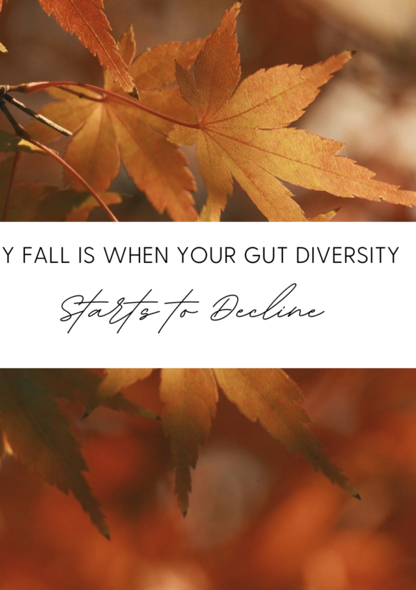 Why Fall is When Your Gut Diversity Starts to Decline